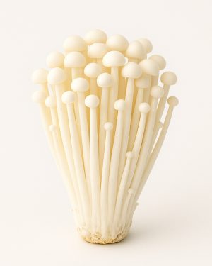 enoki mushrooms (fresh)