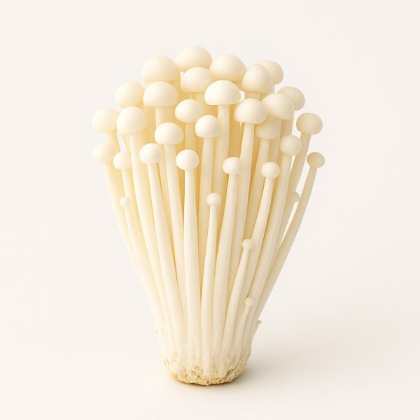 enoki mushrooms (fresh)