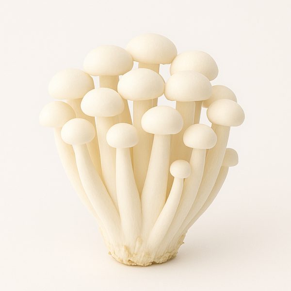 shimeji mushrooms (fresh)