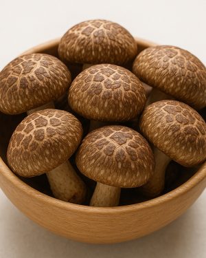 shiitake mushroom (fresh)
