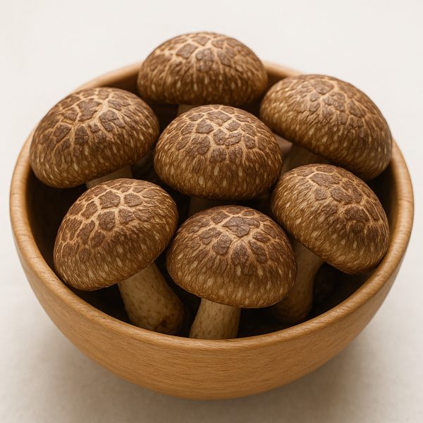 shiitake mushroom (fresh)