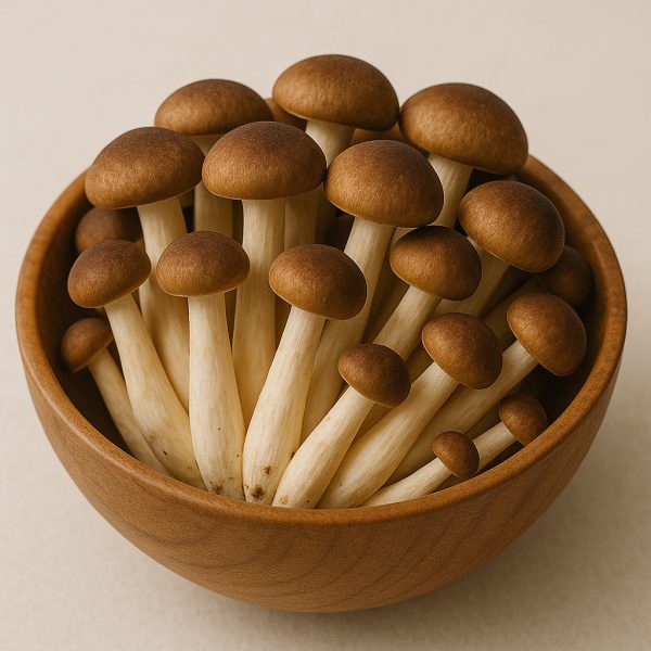 pioppino mushrooms (fresh)