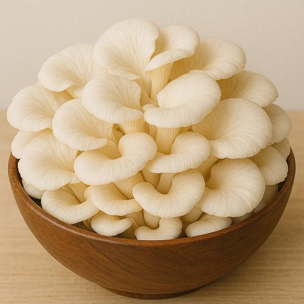 white oyster mushrooms (fresh)