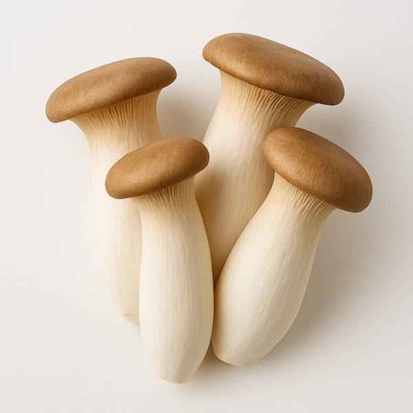 king oyster mushroom (fresh)