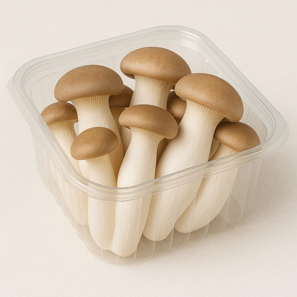 king oyster mushroom (fresh)